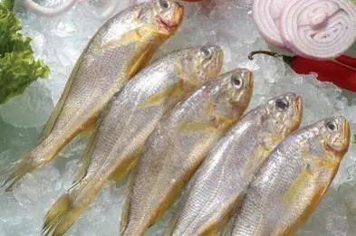 淡水石頭魚又叫什么魚