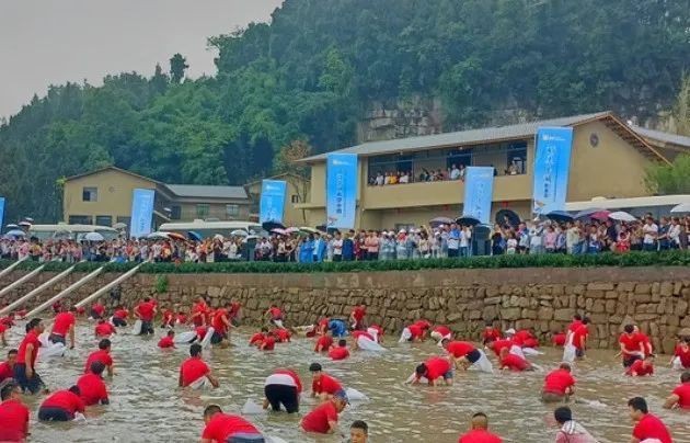 紅龍魚2233祥龍魚場(chǎng)最新活動(dòng)時(shí)間