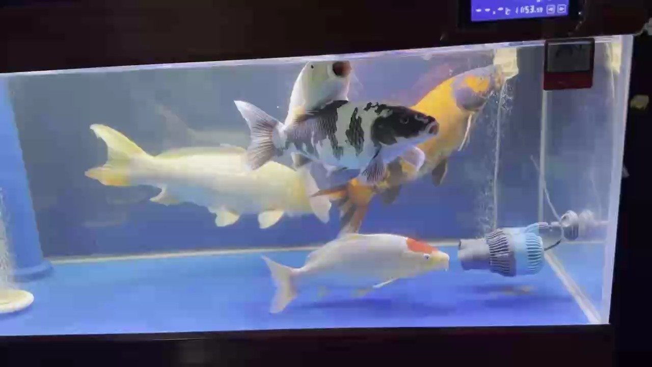 睡