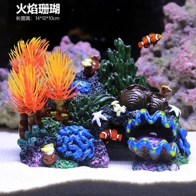 魚(yú)缸珊瑚造景圖片大全：魚(yú)缸珊瑚造景圖片大全大全