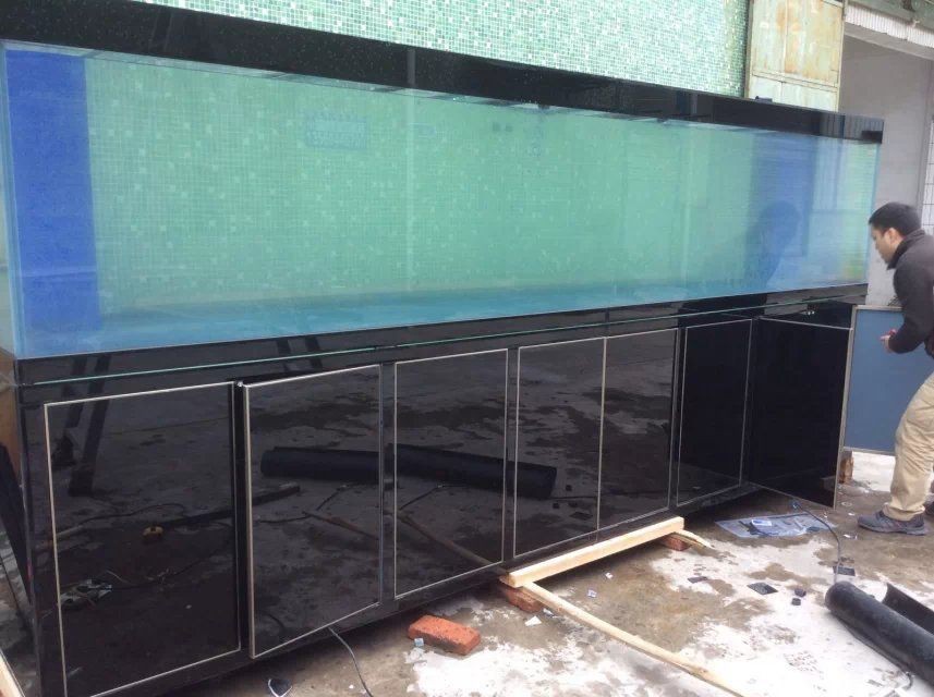 鋼化玻璃適合自制魚缸嗎？：鋼化玻璃制作魚缸安全隱患不推薦使用鋼化玻璃制作