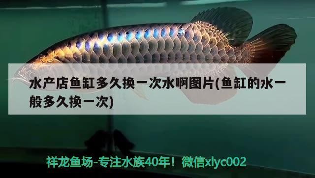 北京素梅強工藝品店