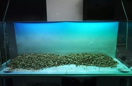魚缸擺放位置圖片欣賞（風水魚缸擺放位置圖片欣賞）