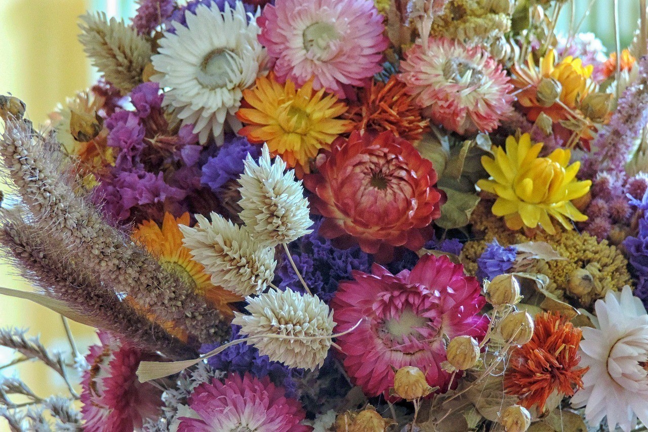 臺安縣小劉觀賞魚花卉館