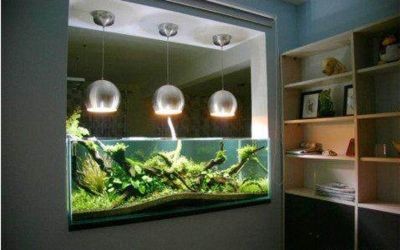 房間放魚缸風水好不好呀（房間放魚缸的風水講究）