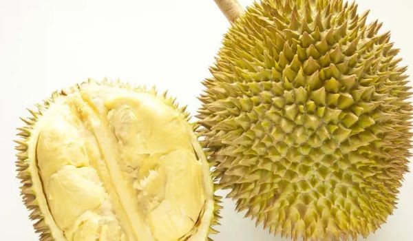 貓山王榴蓮的熱量來源，貓山王榴蓮的熱量與哪些食物相當貓山王榴蓮的熱量與哪些食物相當