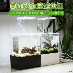 底濾魚缸適合做生態(tài)缸嗎（底濾魚缸與其他過(guò)濾方式對(duì)比除了底濾魚缸的水質(zhì)穩(wěn)定）