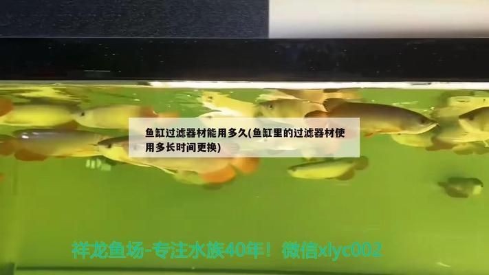 定制魚缸多少錢一米5左右：5米魚缸適合養什么魚 定制魚缸多少錢一米5左右：5米魚缸適合養什么魚 魚缸百科 第3張