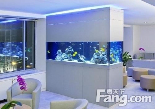 魚缸里放鑰匙有什么說法：魚缸內放置鑰匙會帶來好運，銅離子殺菌原理是什么