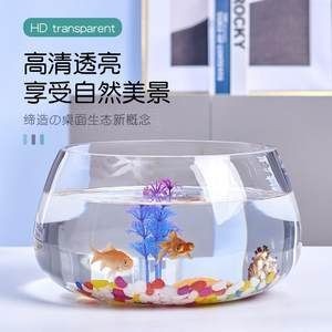 高端品牌魚缸排名及牌子：水族箱材質探秘水族箱材質探秘水族箱材質探秘水族箱