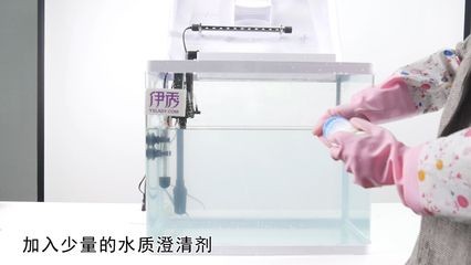 魚缸澄清劑怎么使用：如何使用魚缸澄清劑