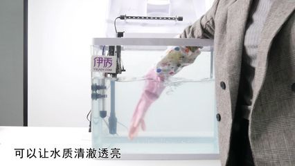 魚缸澄清劑怎么使用：如何使用魚缸澄清劑