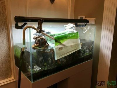 魚缸水位管理的重要性：缸內無管件魚缸加水的最佳位置應該是底部