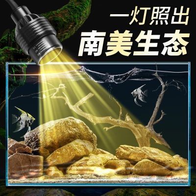 小佩魚缸燈關不了怎么辦：小佩魚缸燈關不了的問題如何自行更換魚缸燈燈泡