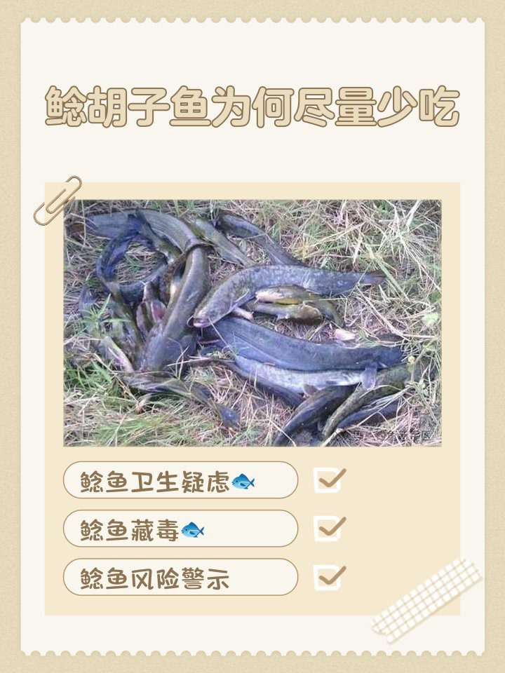 鯰胡子魚為何盡量少吃