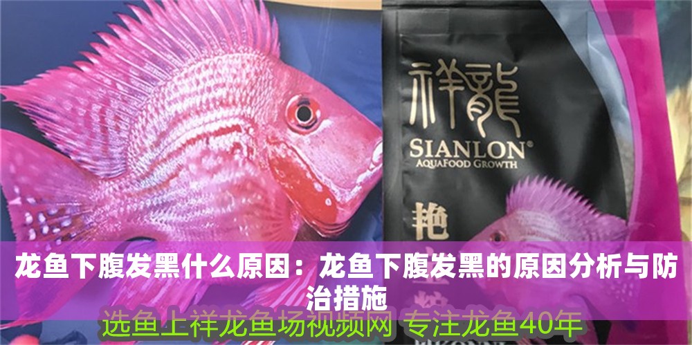 龍魚下腹發(fā)黑什么原因：龍魚下腹發(fā)黑的原因分析與防治措施
