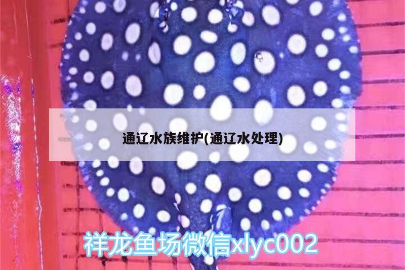 通遼水族維護(通遼水處理)