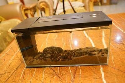 小佩魚缸水泵不工作怎么回事：小佩魚缸水泵不工作怎么辦