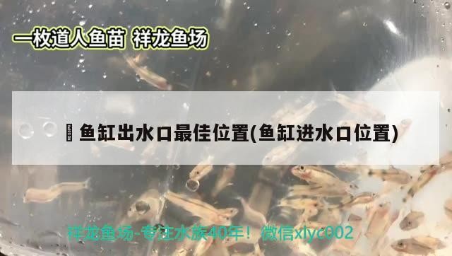 高新開發(fā)區(qū)小小水族店