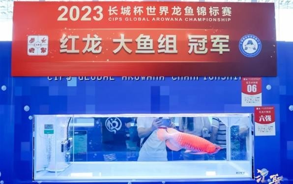 長城杯龍魚奪冠