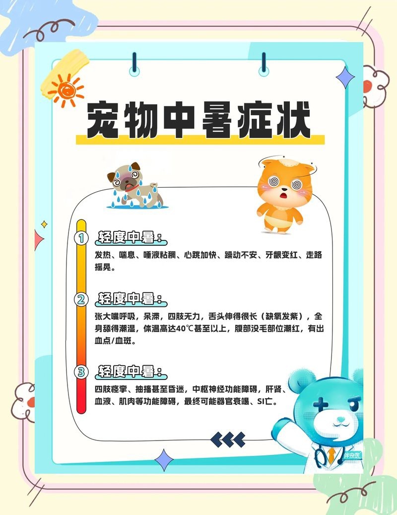 六角恐龍中暑后應該如何急救？