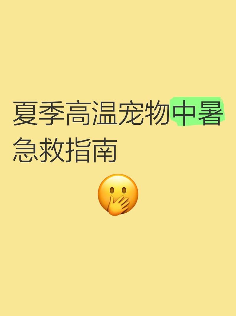 六角恐龍中暑后應該如何急救？