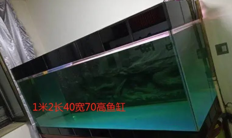 1.2米魚缸的標準寬度