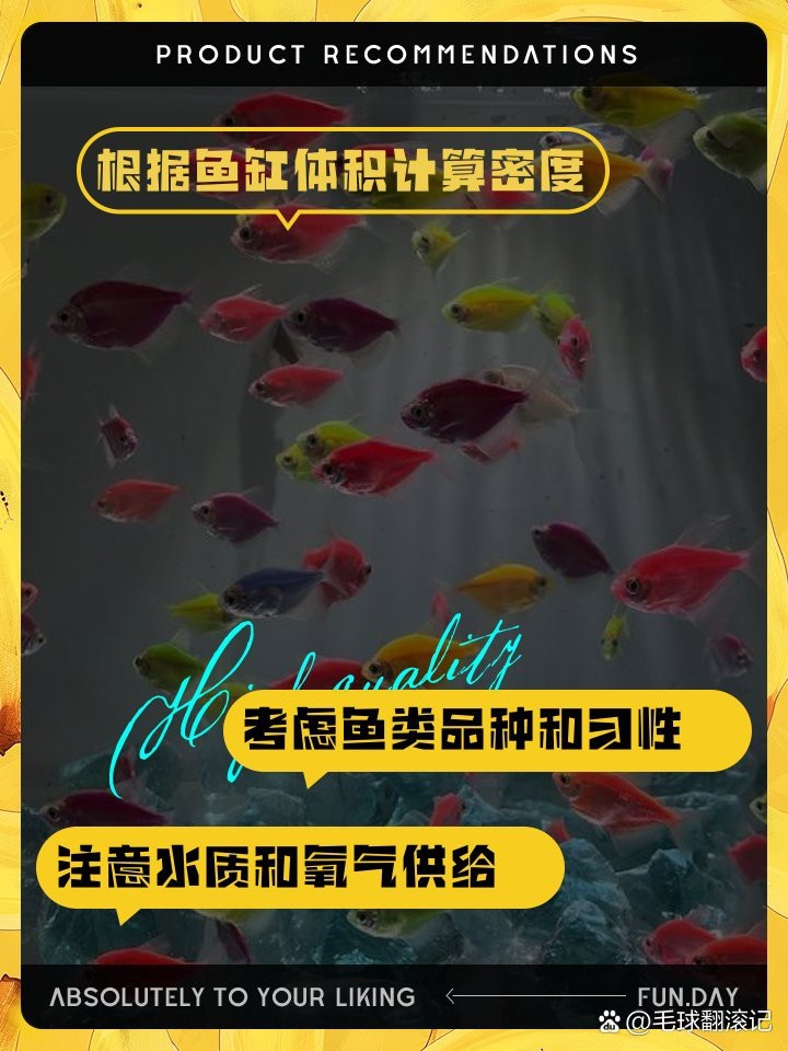 71年的豬最多能養多少條魚 71年的豬最多能養多少條魚 龍魚論壇 第5張