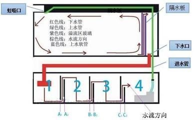 底濾魚缸過濾系統的制作原理是通過物理與生物完成過濾系統：入分析底濾魚缸