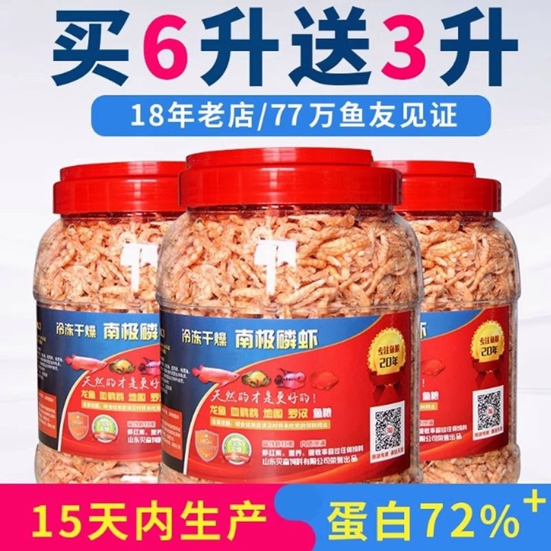 龍魚(yú)可以吃銀魚(yú)嗎視頻