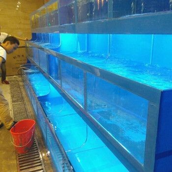 廣州魚缸清洗服務公司：廣州魚缸清洗服務