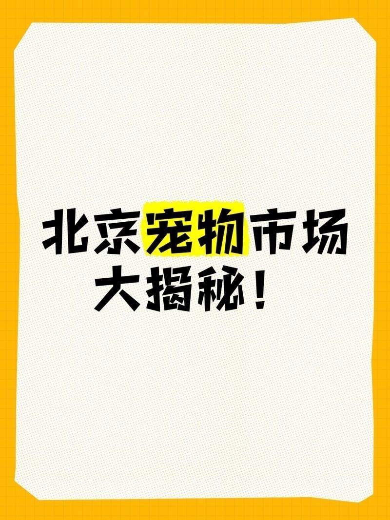 寵物市場有哪些知名的犬場貓舍？