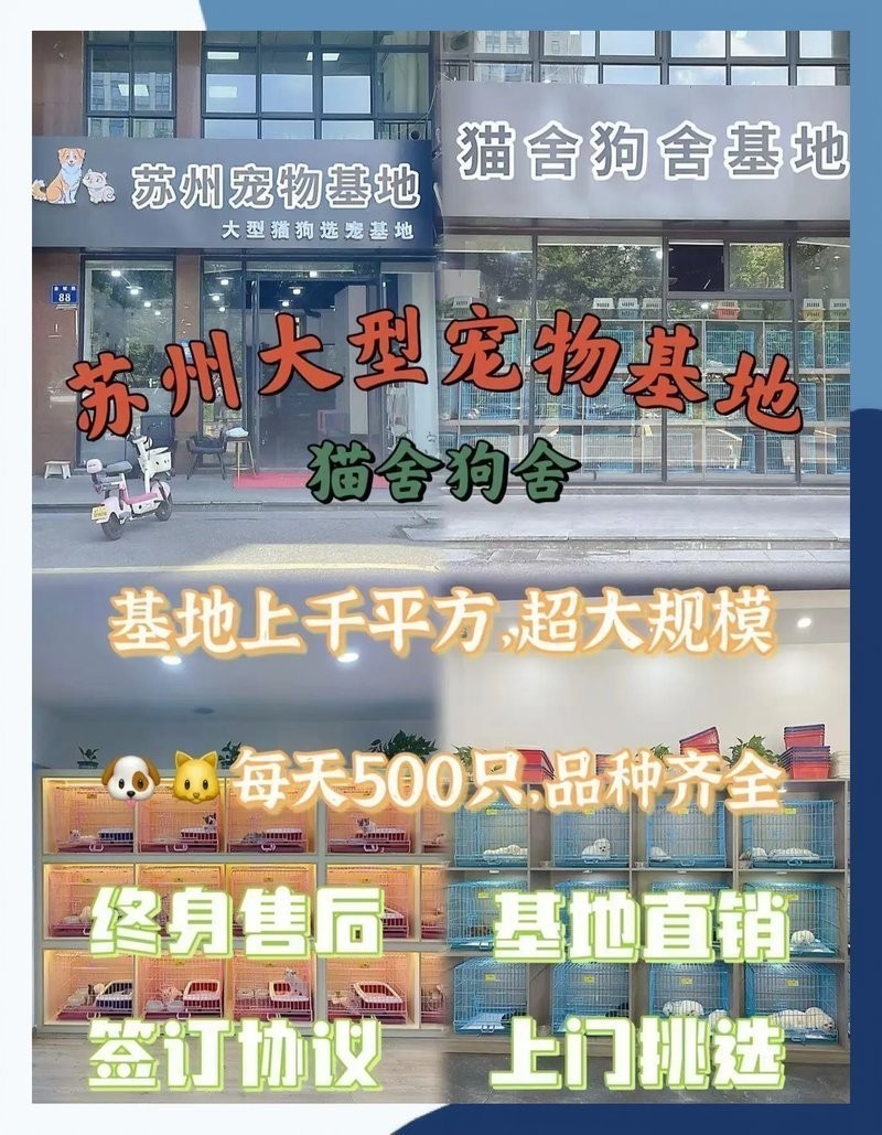 寵物市場有哪些知名的犬場貓舍？