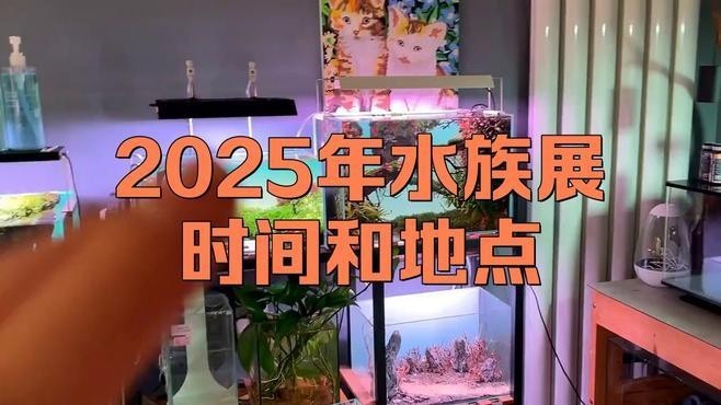 如何在CIPS官網上注冊參觀