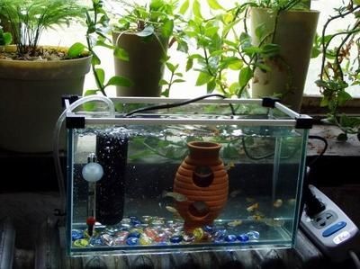寵寶它魚缸：寵寶它魚缸與海馬魚缸對比亞克力魚缸過濾系統選購指南