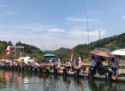 龍魚大賽的獎金如何