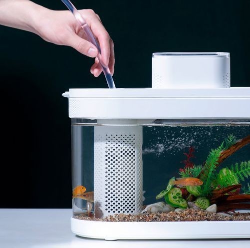 小米魚缸如何換水視頻：如何通過視頻學習小米魚缸換水方法