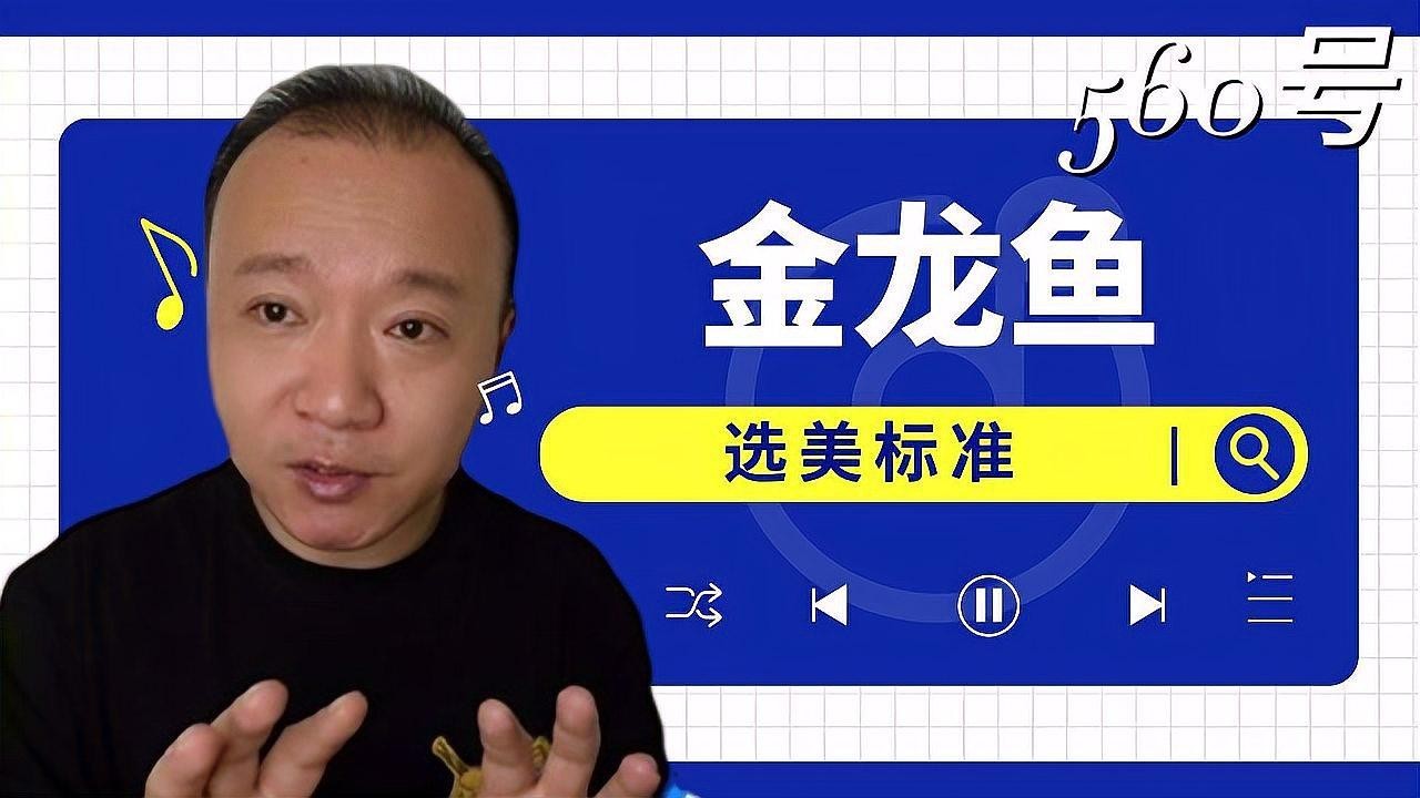 龍魚錦標賽的裁判標準是什么？