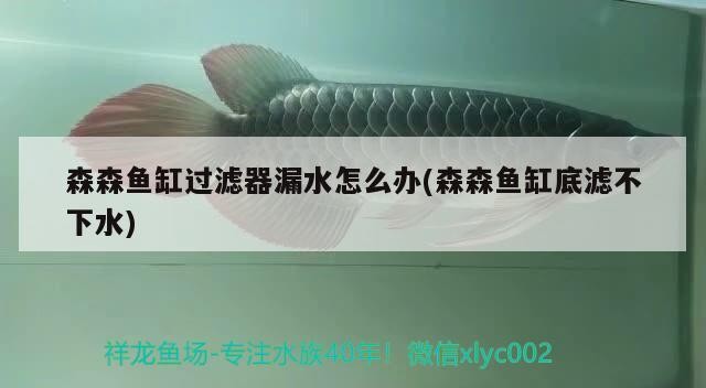福州市倉山區樂其中水族店（福州市倉山區樂其中水族店地址）