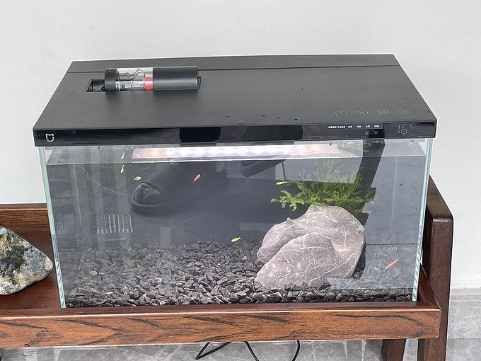 老行家魚缸過濾器好嗎：老行家魚缸過濾器怎么選