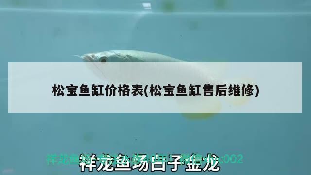 銀龍魚和什么魚能一起養(yǎng)呢視頻（銀龍和什么魚可以一起養(yǎng)）