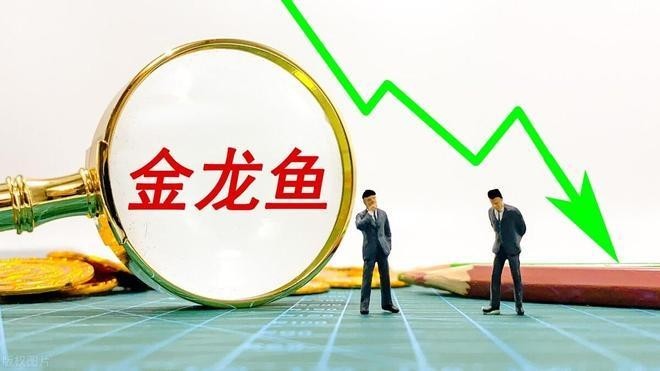 金龍魚高管團隊中誰最有權(quán)？