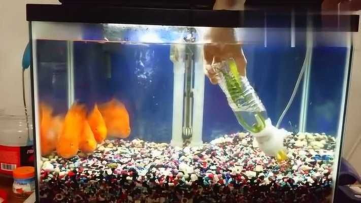 魚缸過濾器改造視頻教程：如何自制魚缸過濾器，經濟實惠又實用：如何改造魚缸過濾器