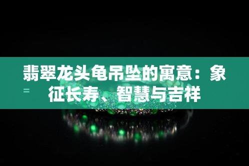 龍頭龜寓意適合什么人佩戴