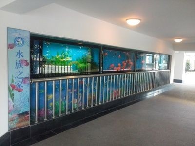 水族主題相關批發：水族批發市場有哪些？