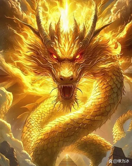有沒有聚財(cái)金龍的插畫作品？