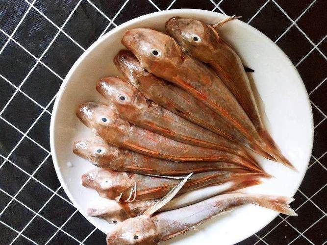 紅頭魚圖片