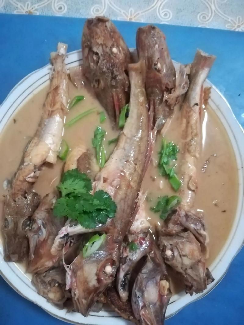 紅頭魚圖片