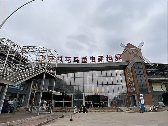 花地灣和百藝城哪個更大