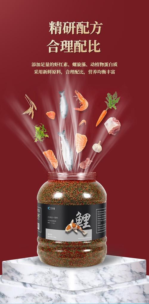 有哪些食物有助于過背金龍發(fā)色？